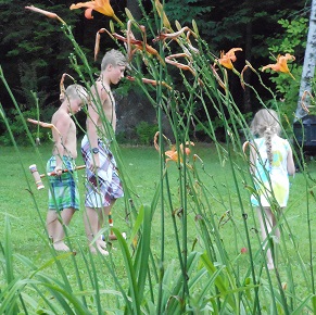 free vacationland games